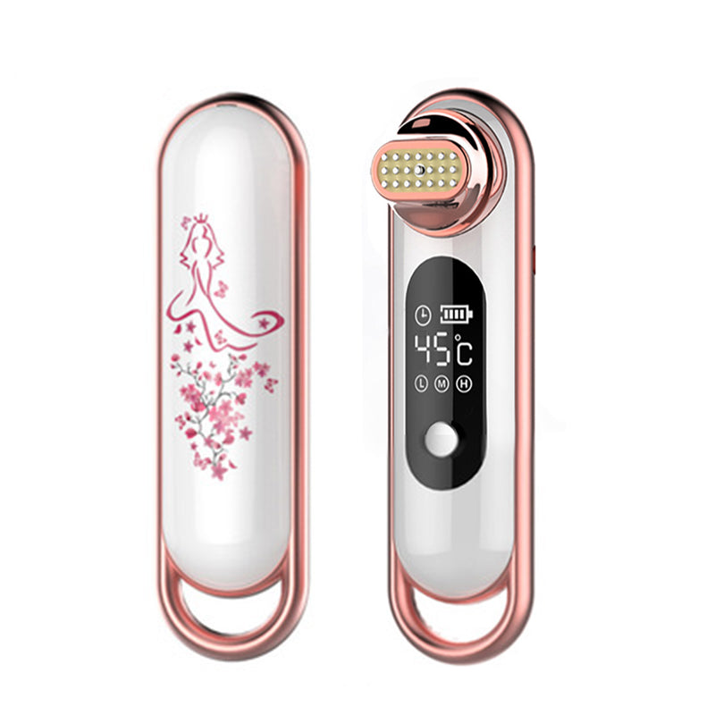 Electric Wave Skin Lifter