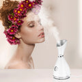 Ionic Facial Steamer 